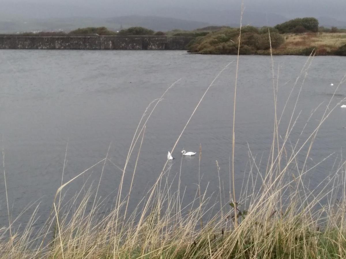 Driftwood Cottage Port Haverigg Marina Village ميلوم المظهر الخارجي الصورة